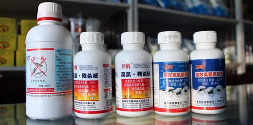 维洁消毒用品经营部 专业守护，健康同行——给全市人民拜年啦！